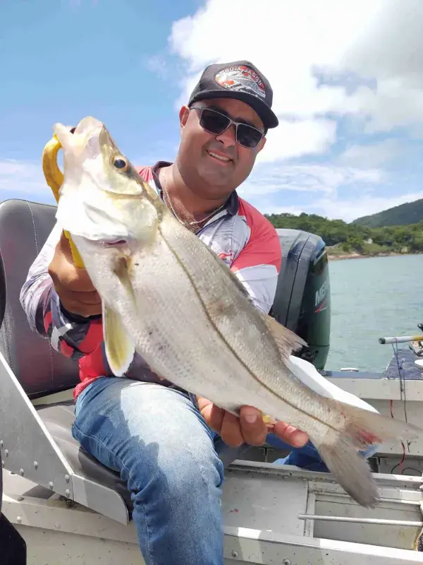 Quer saber como é a pesca esportiva? Imagem
