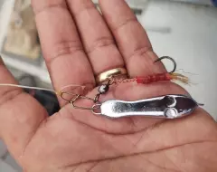 Como Funciona Pesca em Alto Mar