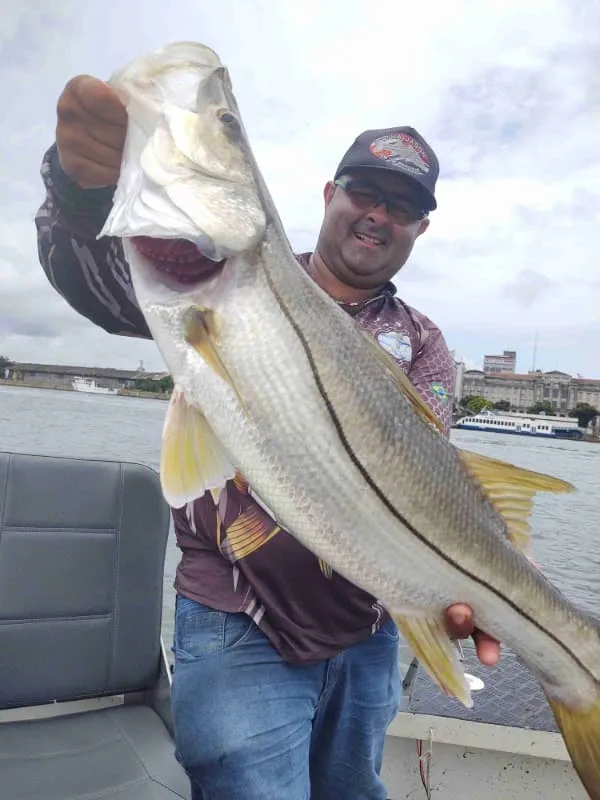 Guia de pesca em Bertioga Imagem