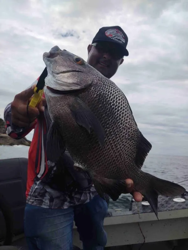 Guia de pesca em Santos Imagem