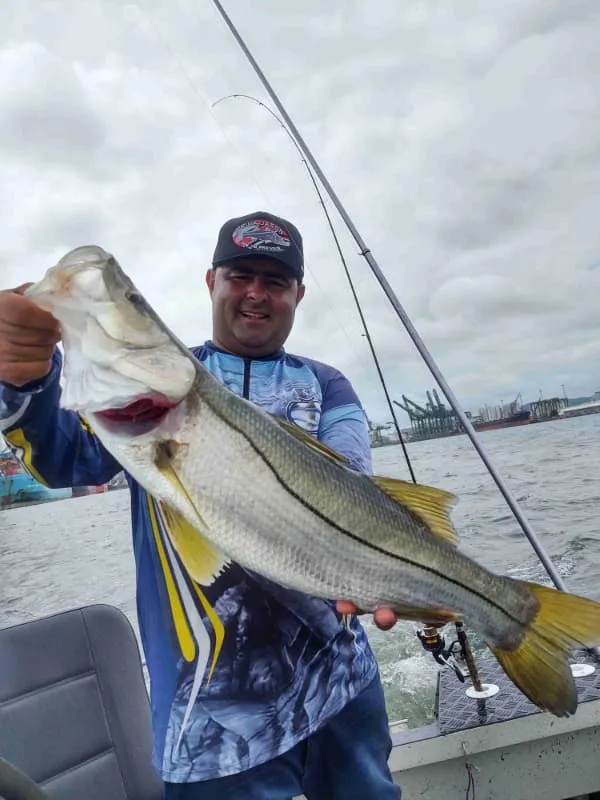Guia de pesca no Guarujá Imagem
