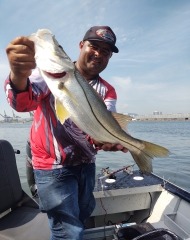 Guia de Pesca No Litoral Sul