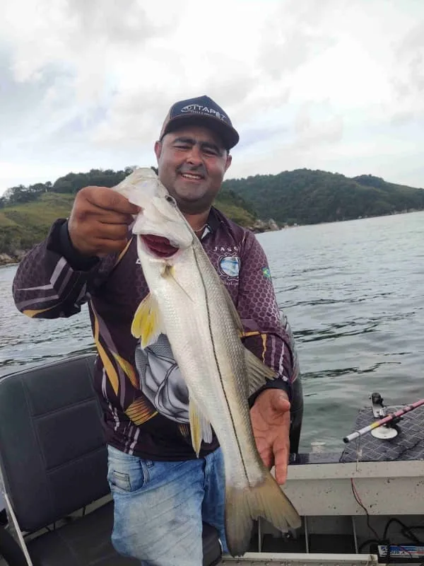Melhor isca viva para pescar robalo Imagem