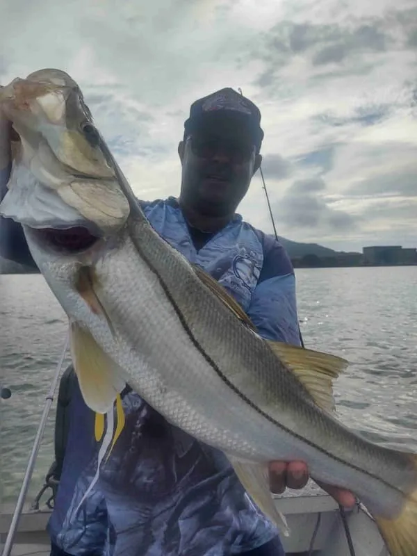 O melhor guia de pesca de robalo Imagem