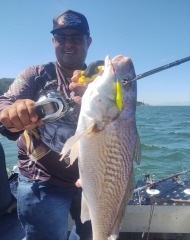 O Melhor Guia de Pesca No Mar