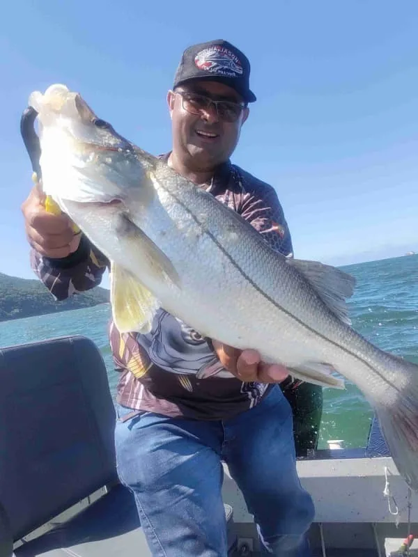 O melhor guia de pesca no mar Imagem