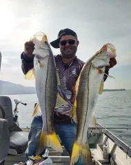 Pesca de robalo litoral sul Imagem