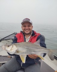 Pesca No Canal de Santos