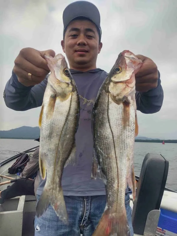 Pescaria de robalo Imagem