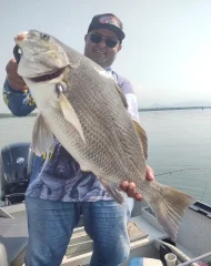 Pescaria de Robalo Com Camarão Vivo