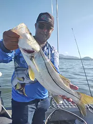 Pescaria de robalo em São Vicente Imagem